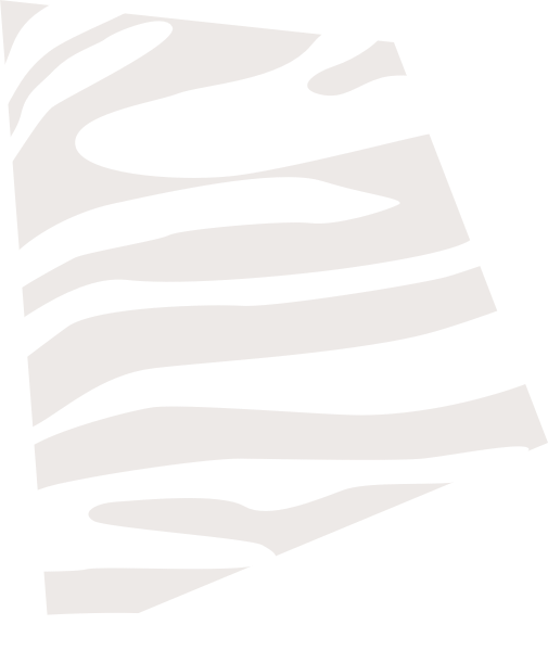 Zebra-Luxe